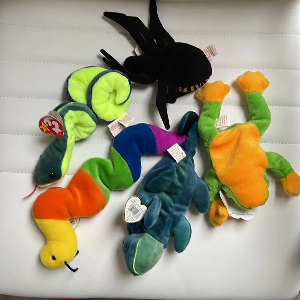 5 beanie babies.  Hissy, Spinner, Smoochy, Inch, Rainbow.